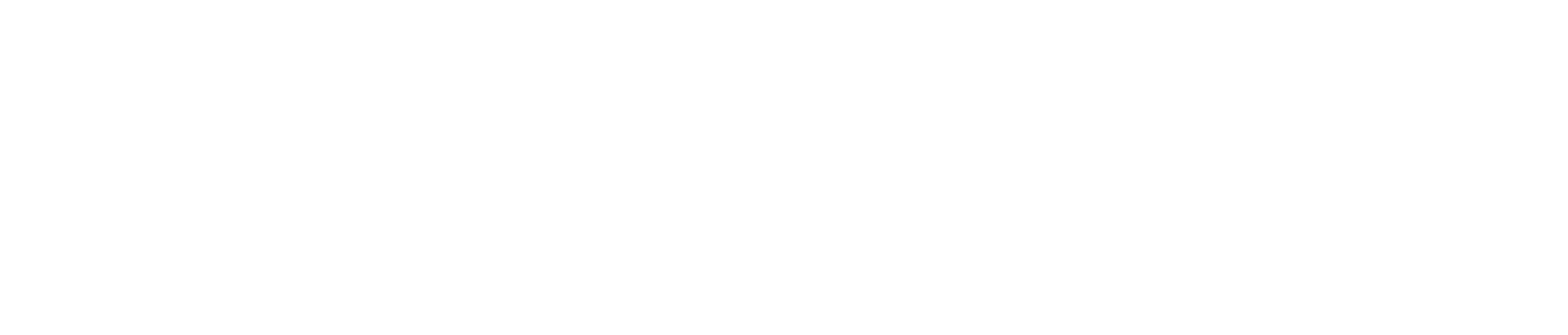 ConnectSecure Logo